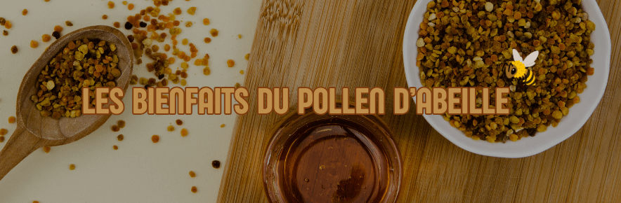 bienfaits du pollen d'abeille